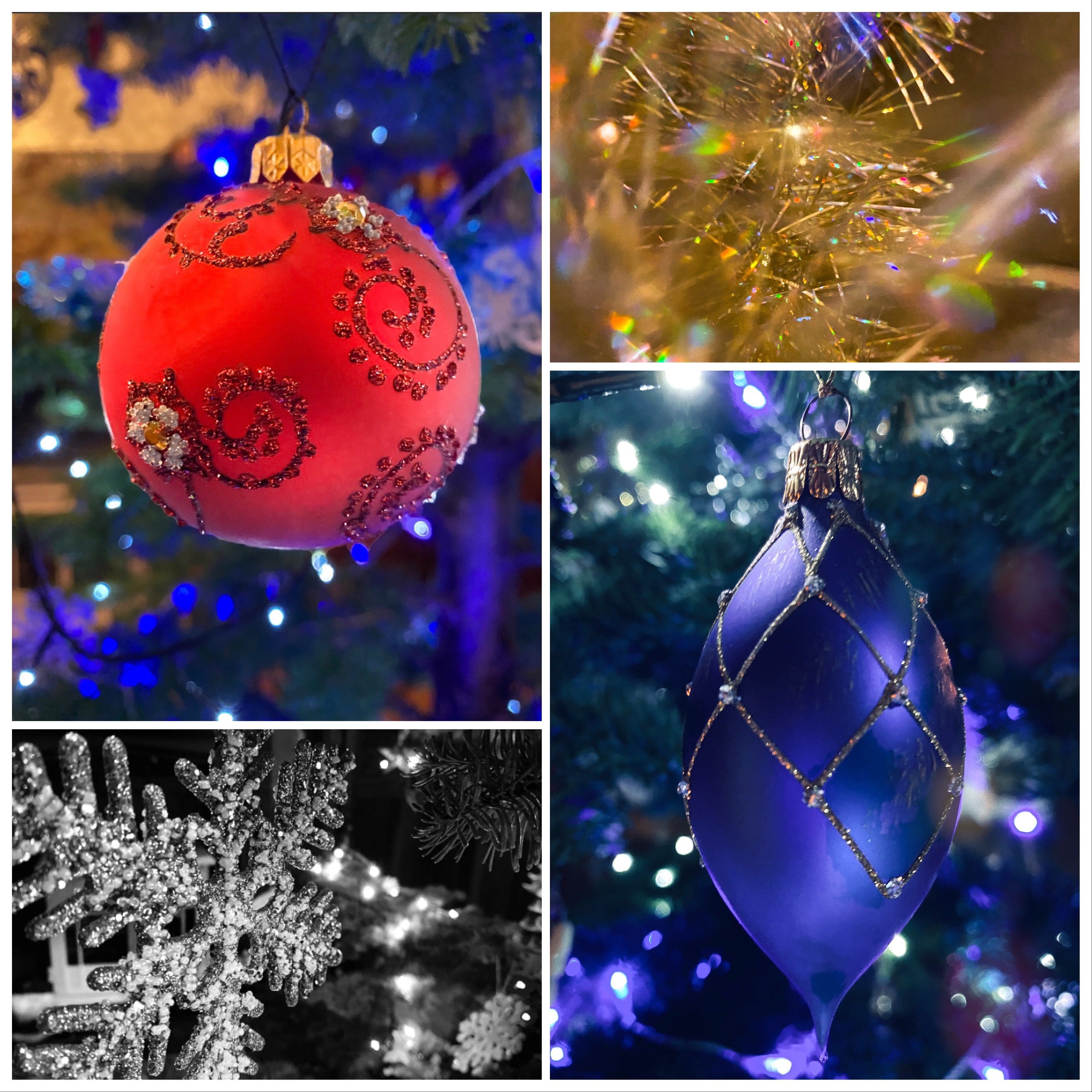 Windermere School Photography Club 11