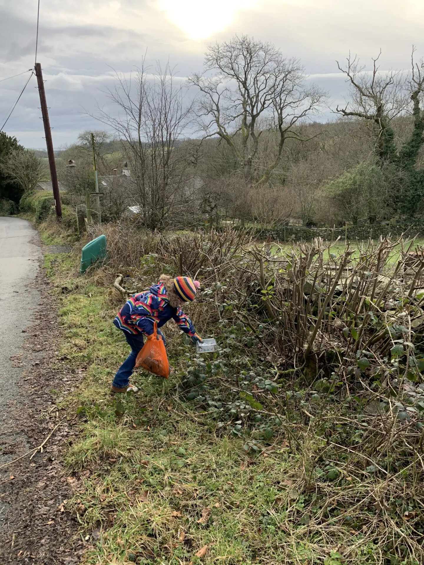 Year 2 IDEALS Windermere School