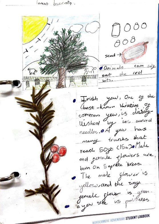 Outdoor Education - Image4