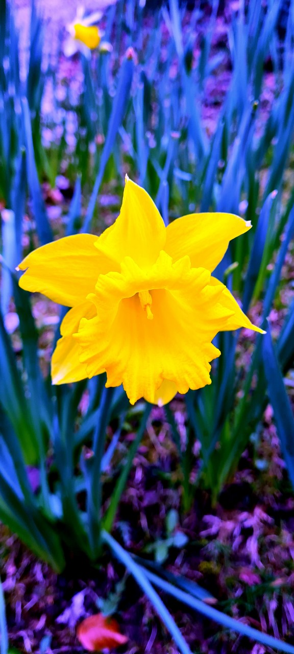 Photographic Skills Windermere School