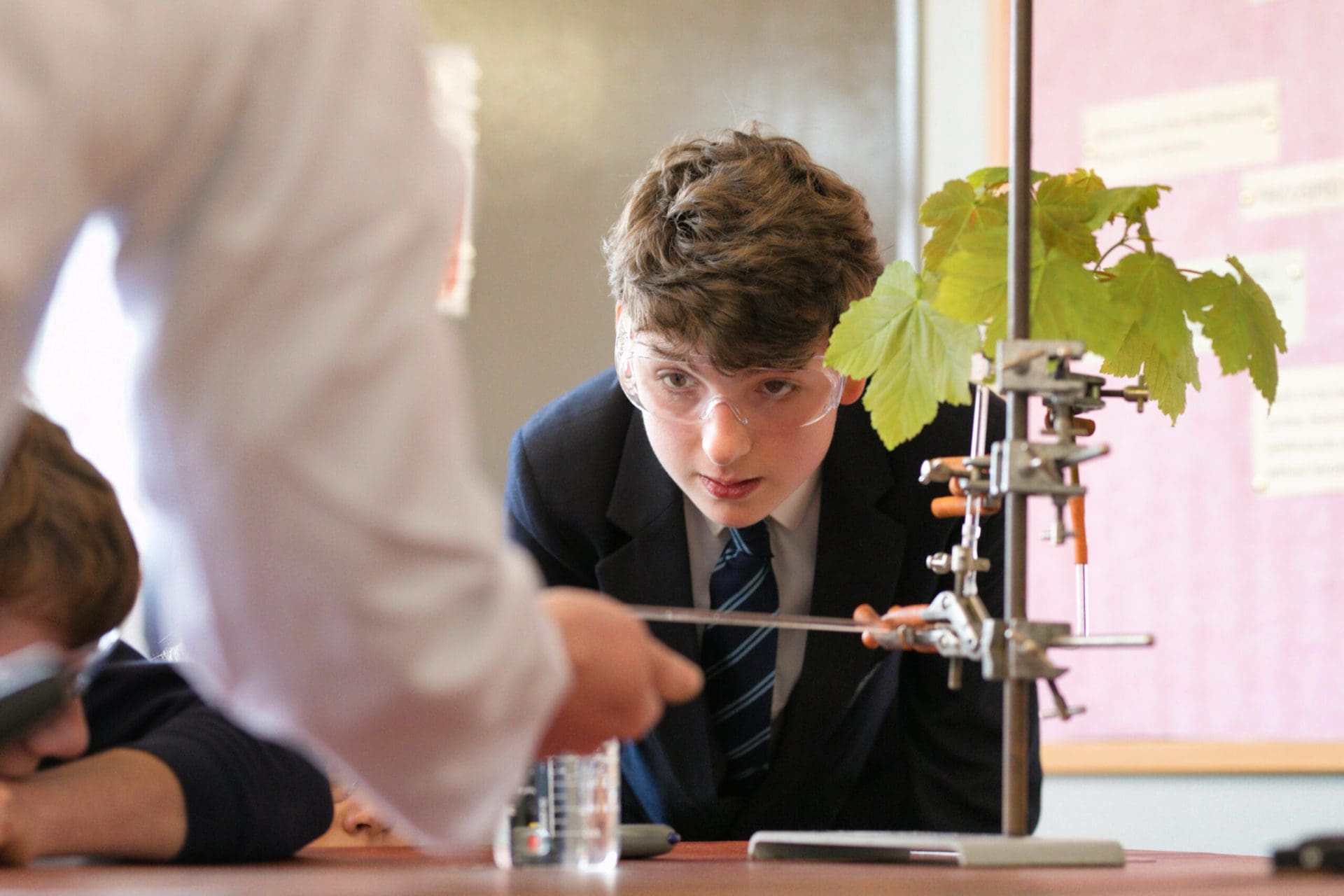 Science Teacher Windermere School