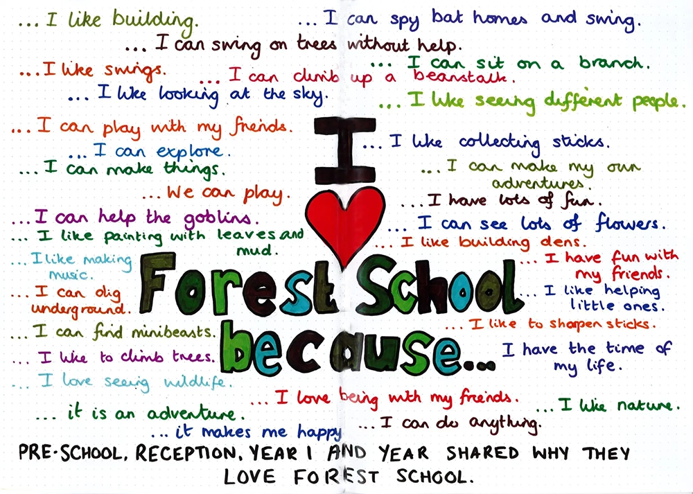 Why I Love Forest School Windermere Junior School