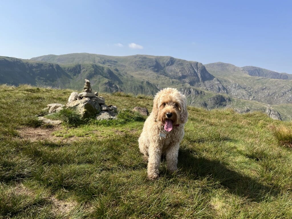 The Friends of Windermere School Parents’ Hike - Sept 23