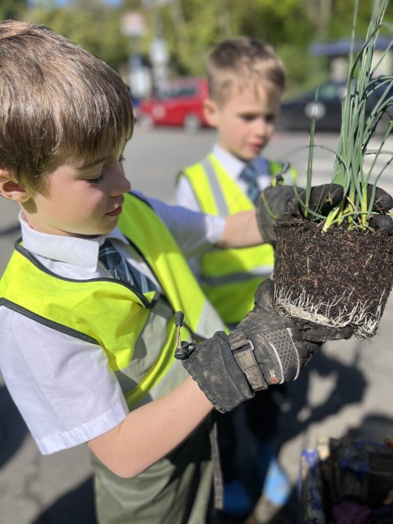 Windermere School Year 3 Gardening