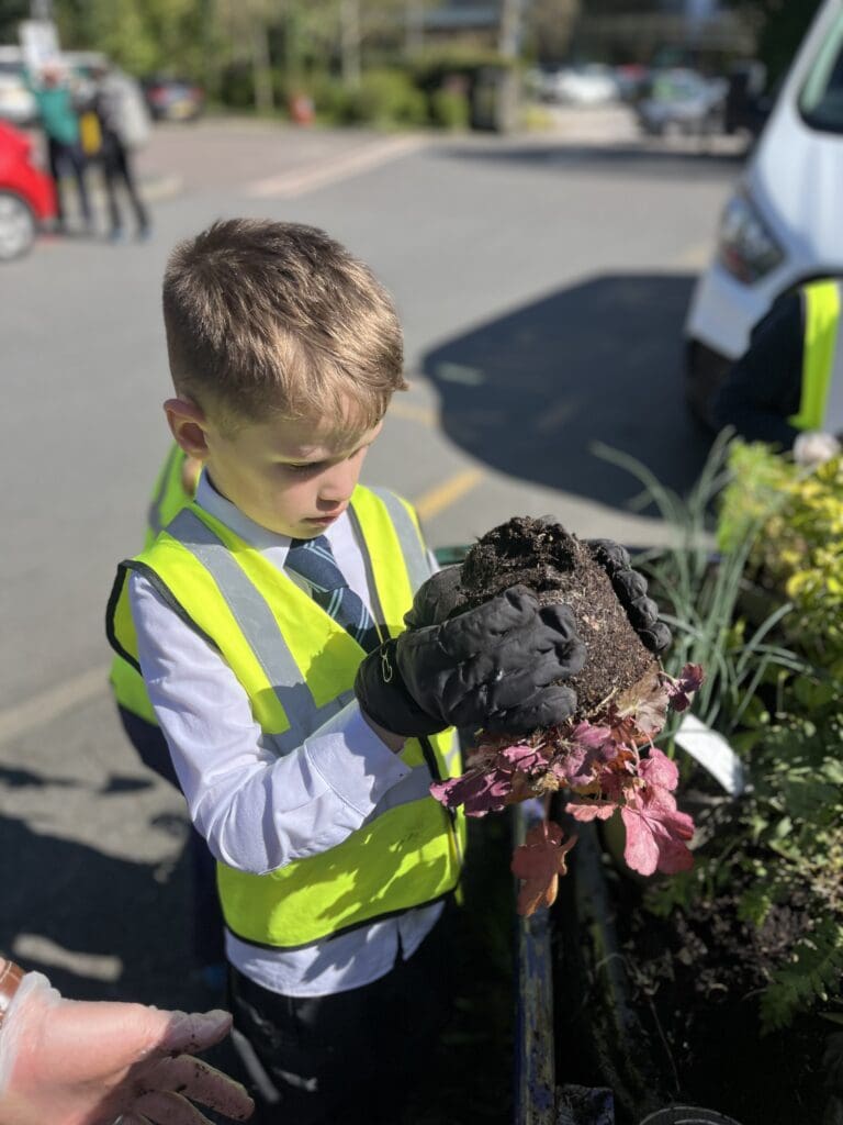 Windermere School Year 3 Gardening