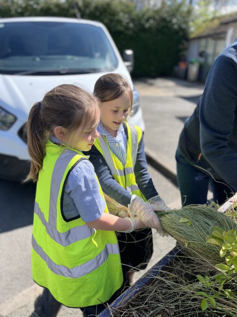 Windermere School Year 3 Gardening