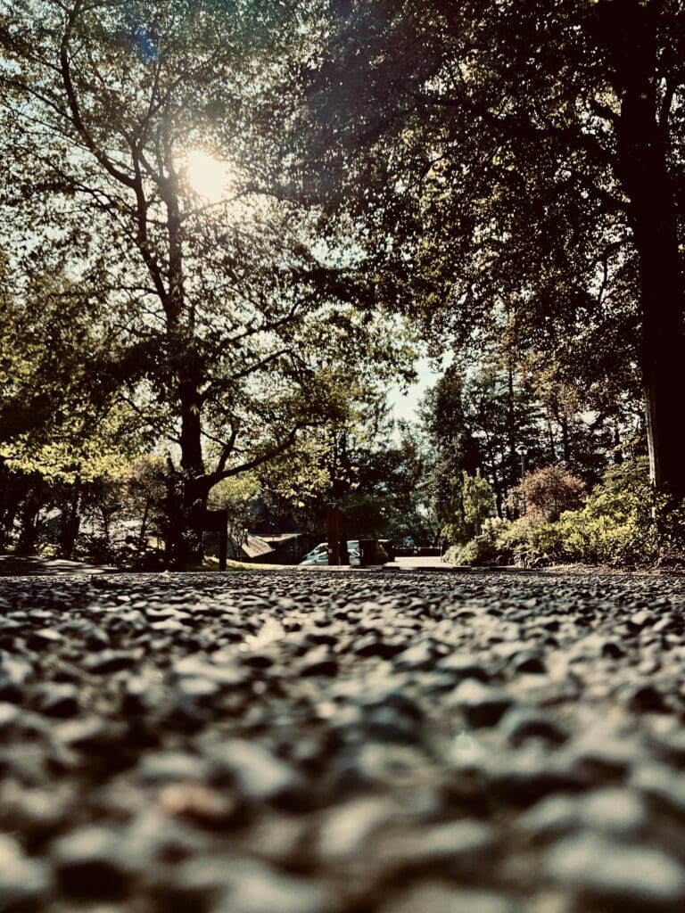 Windermere School Photography Club