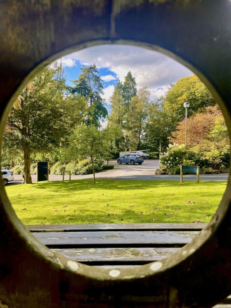 Windermere School Photography Club