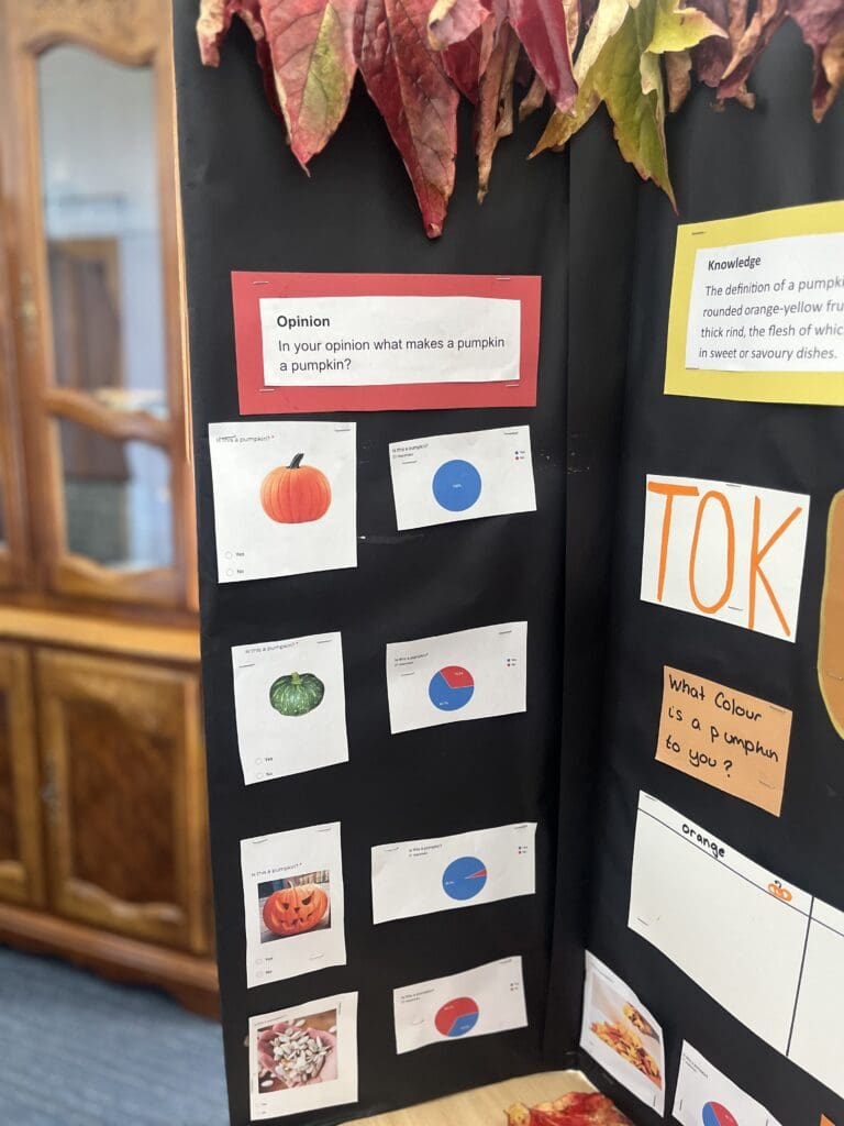 Windermere School Sixth Form TOK project