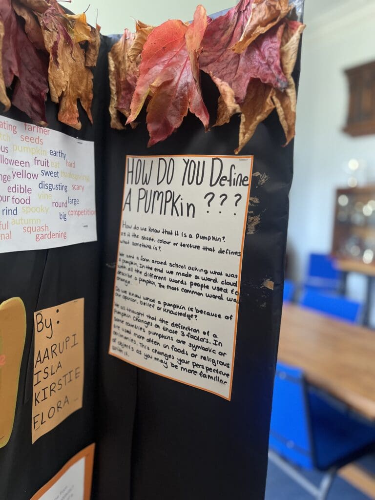 Windermere School Sixth Form TOK project