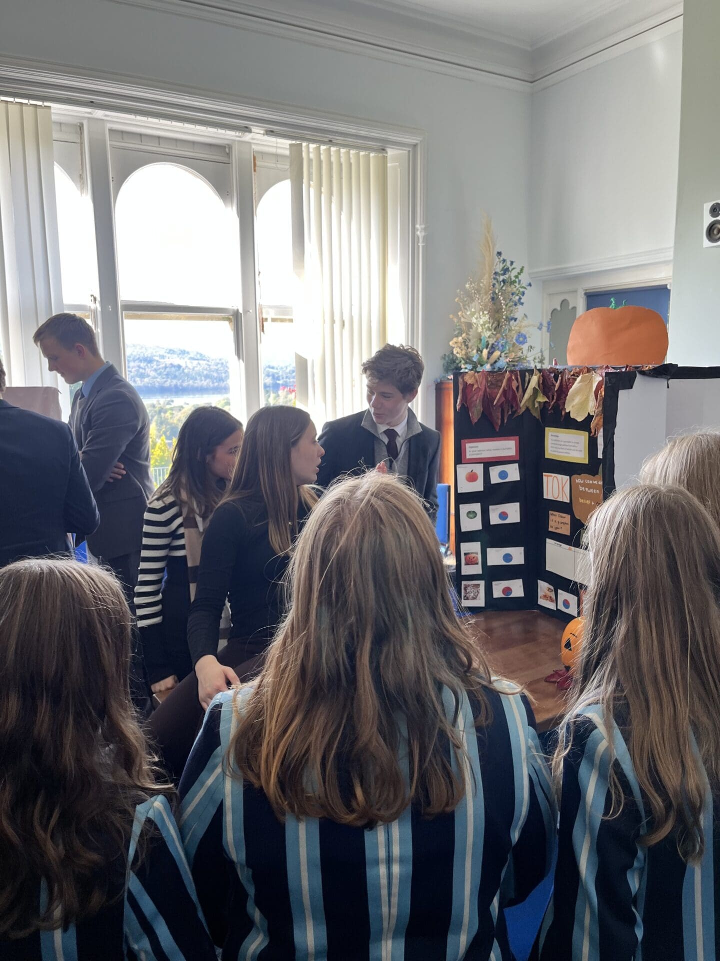 Windermere School Sixth Form TOK project