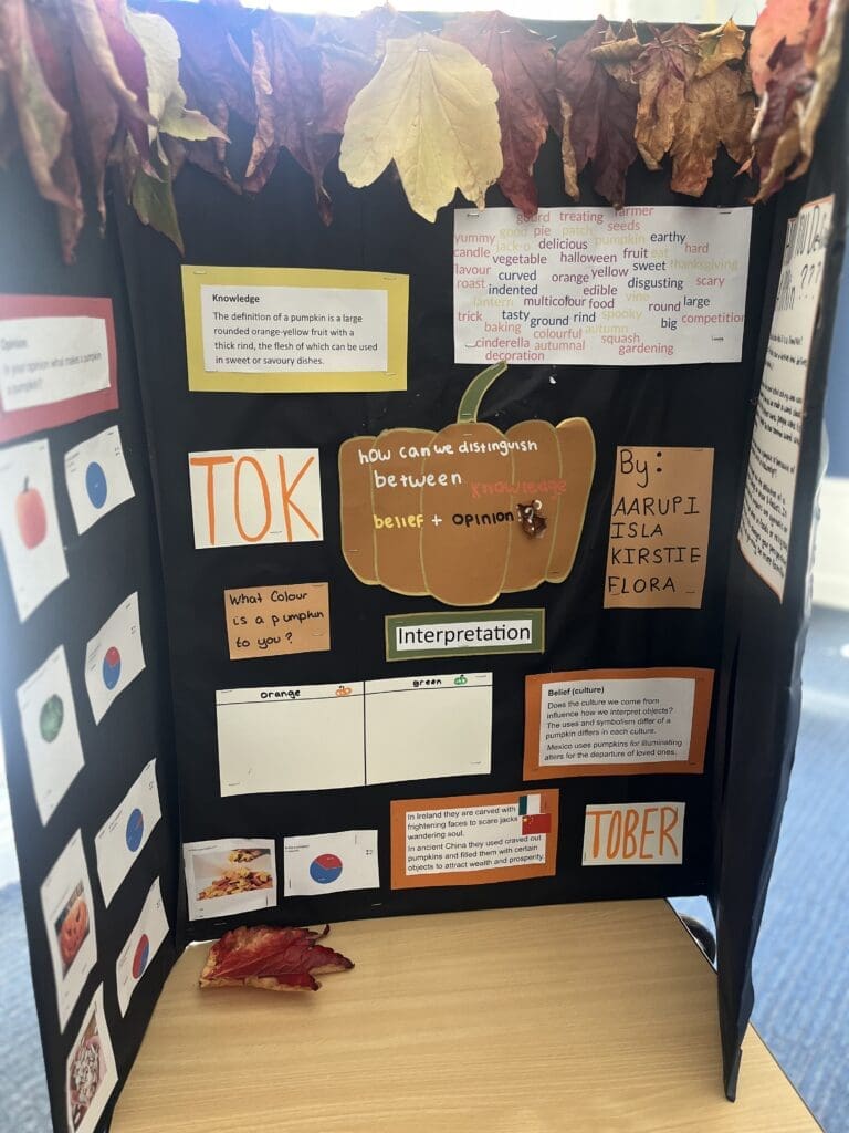 Windermere School Sixth Form TOK project