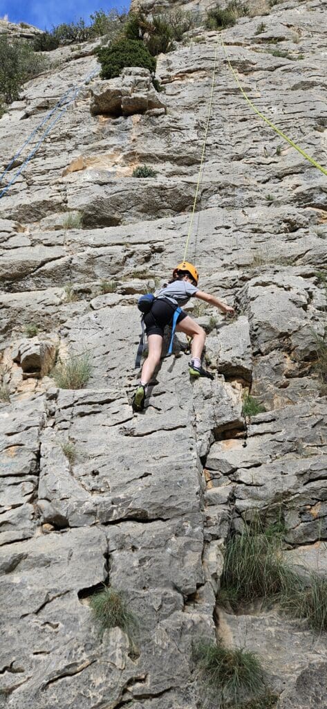 The Friends of Windermere School Climbing Shoes