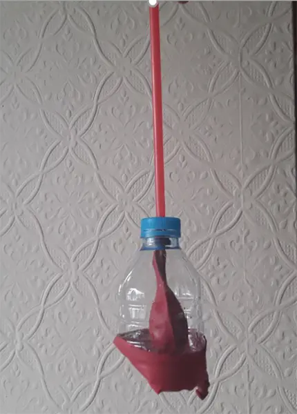 Year 8 Science 04