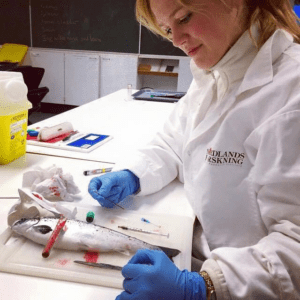 Windermere School Stannite Spotlight