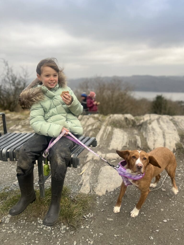 Windermere School Year 4 Parent Dog Walk
