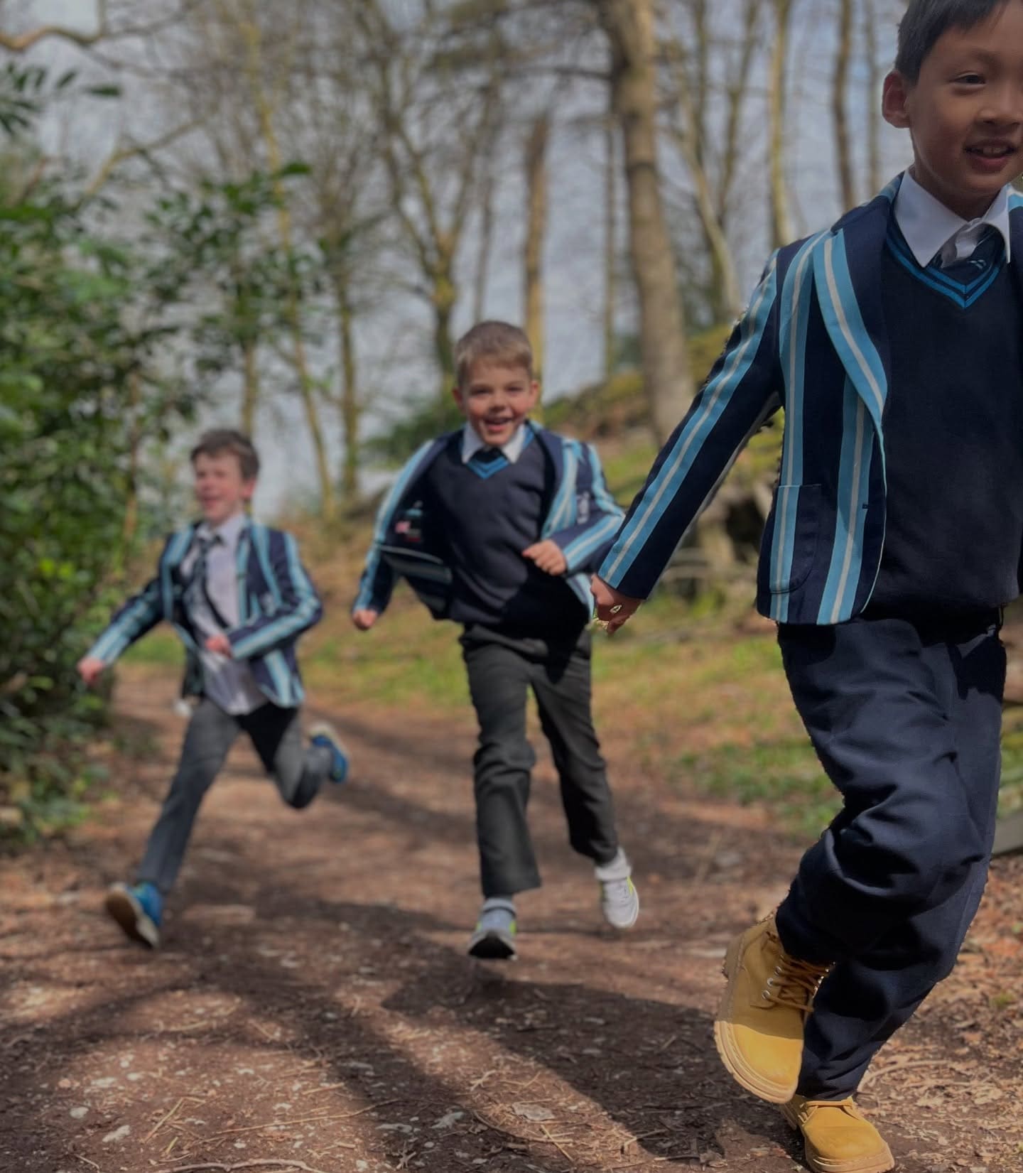 Windermere Schools Year 3 explore Orrest Head