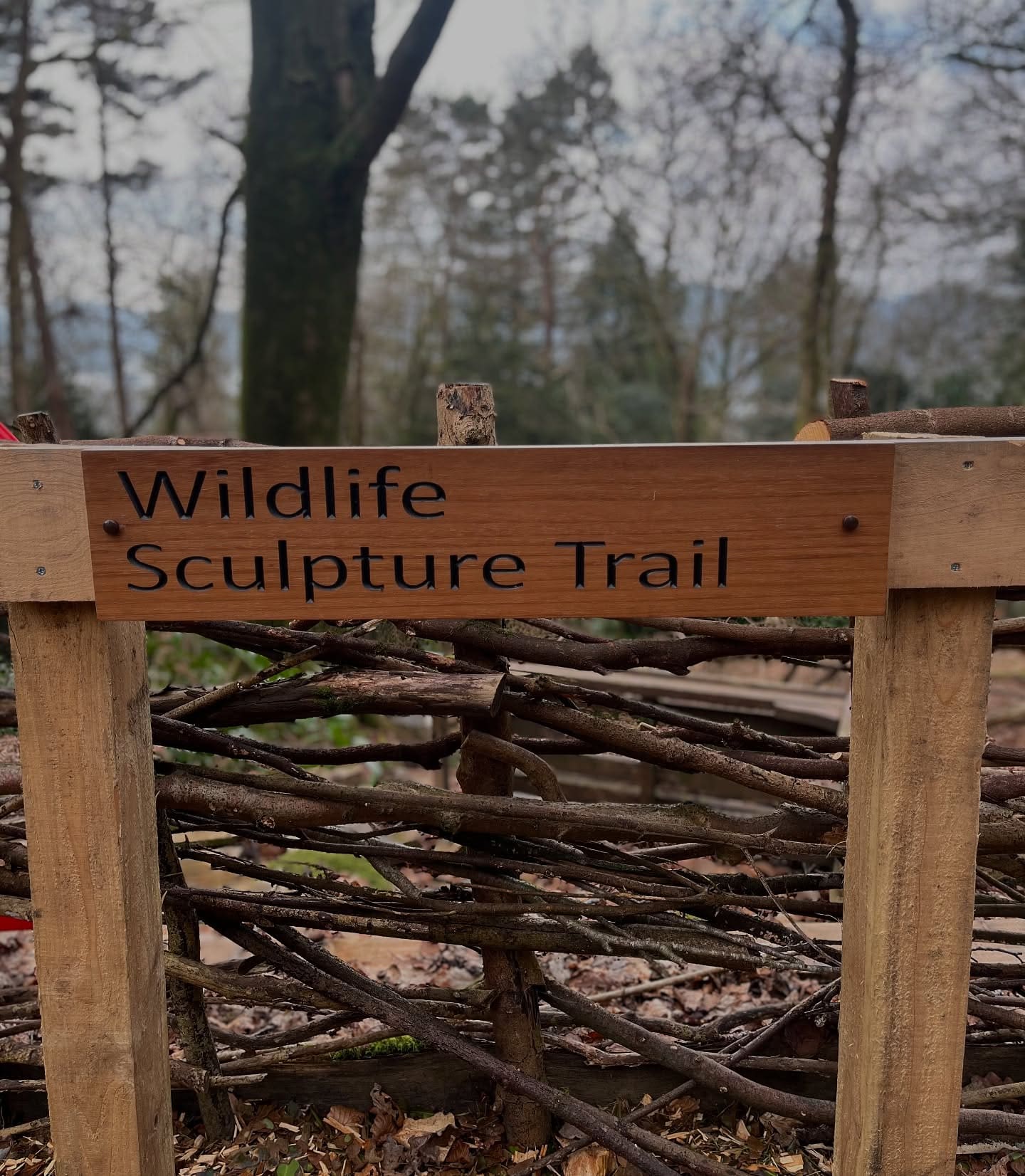 Windermere Schools Year 3 explore Orrest Head