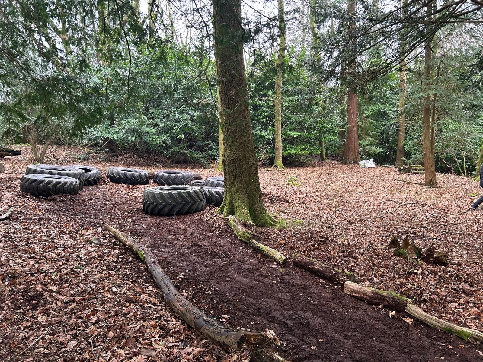 Windermere School Woodland Works Party