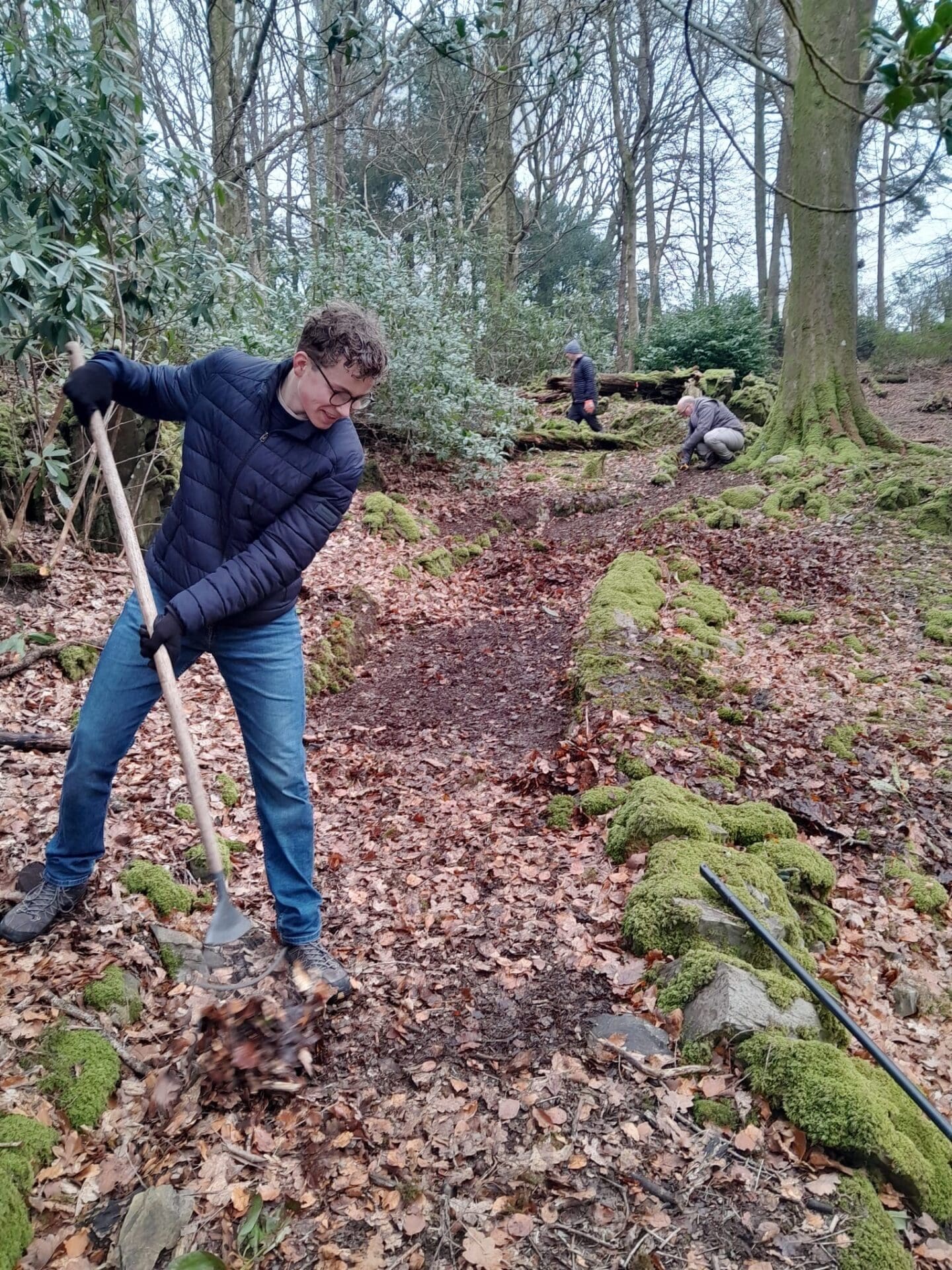 Windermere School Woodland Works Party