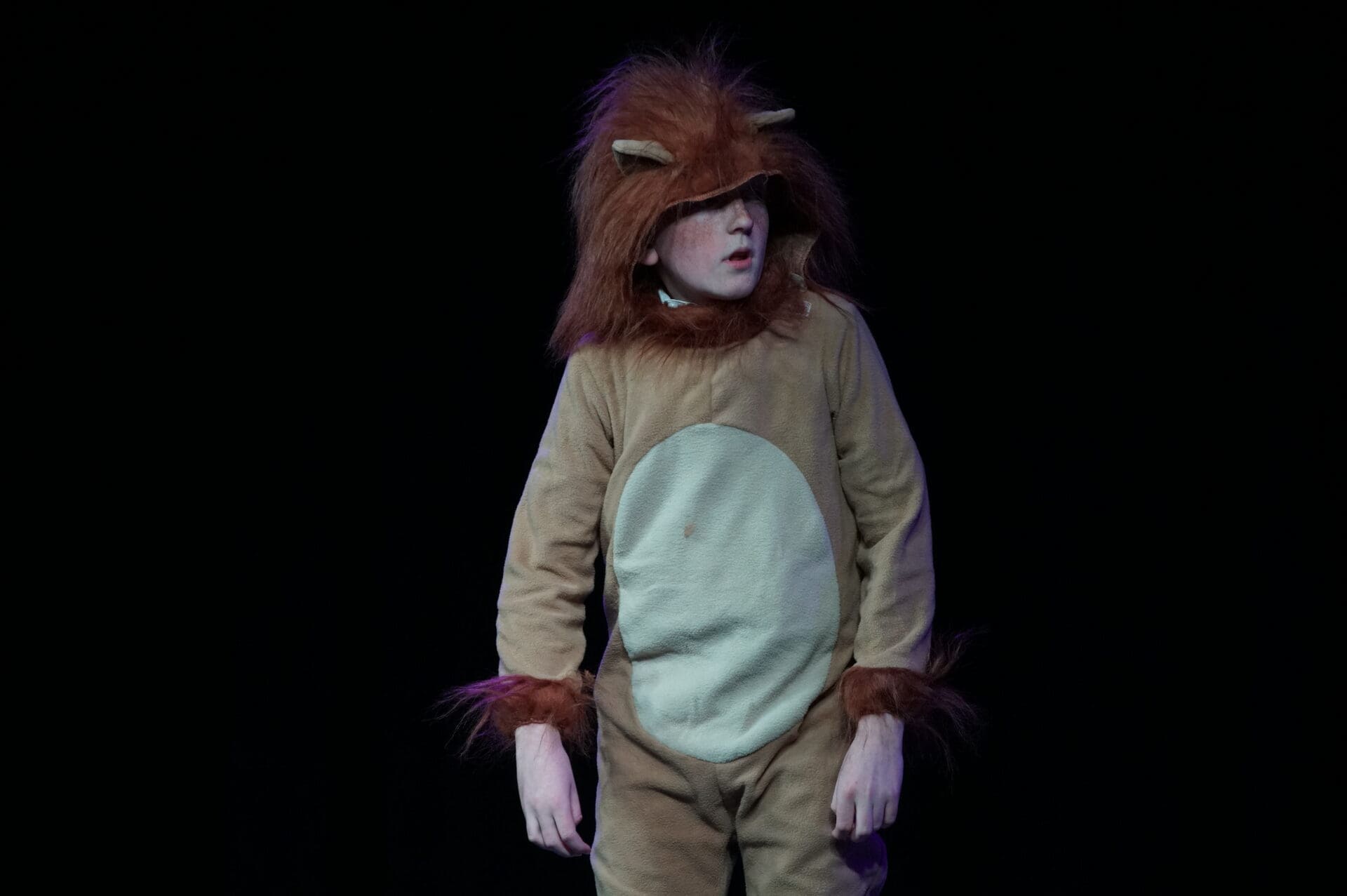 Year 12 Midsummer Nights Dream Production