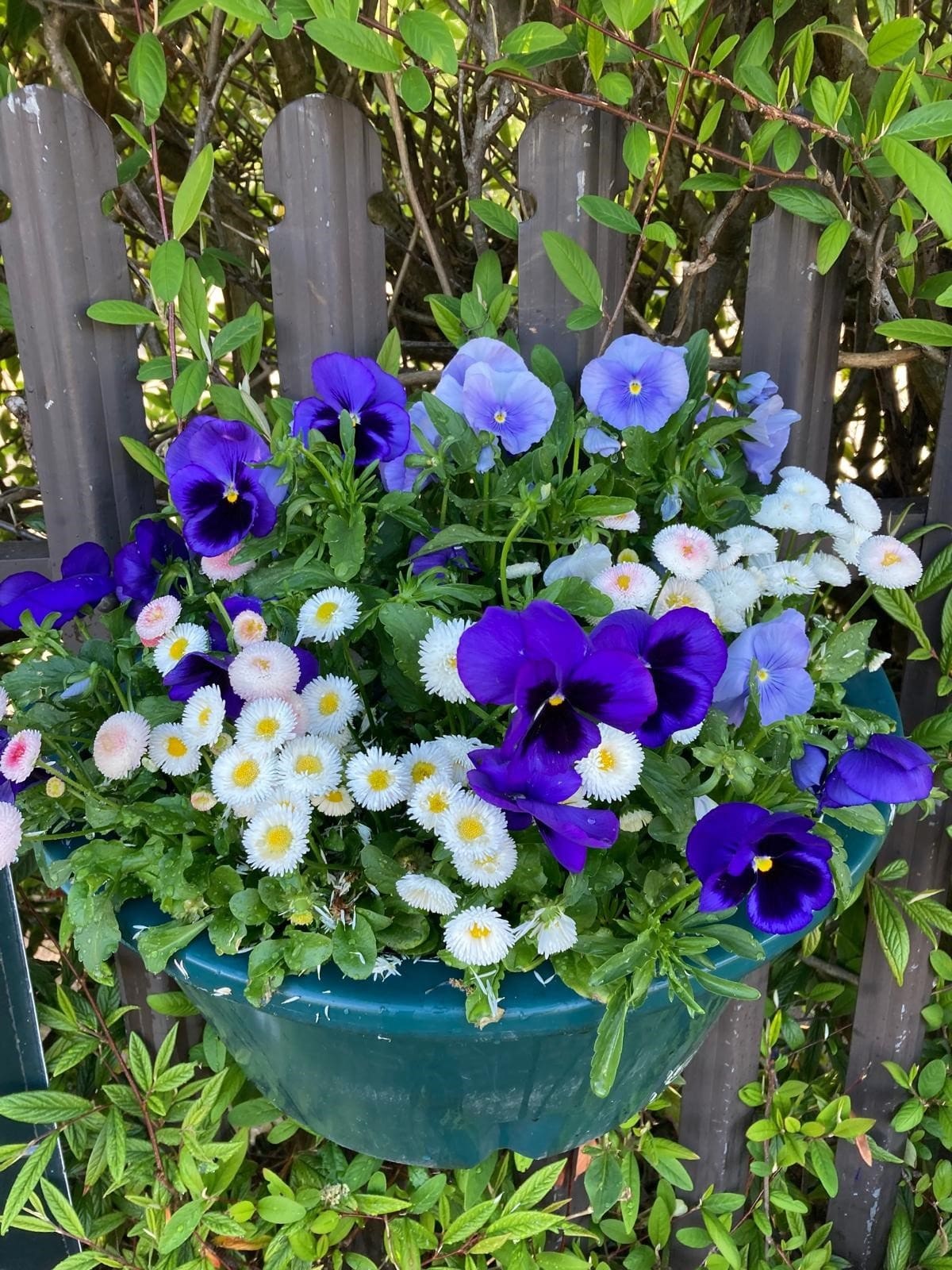 Windermere School Gardening Club