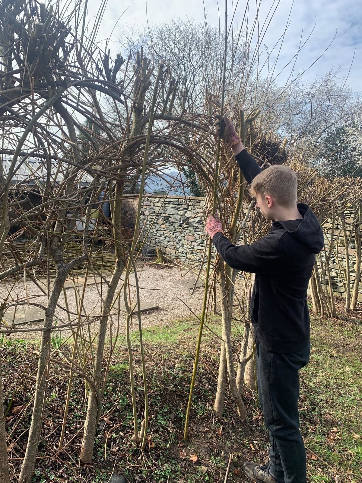 Windermere School Gardening Club