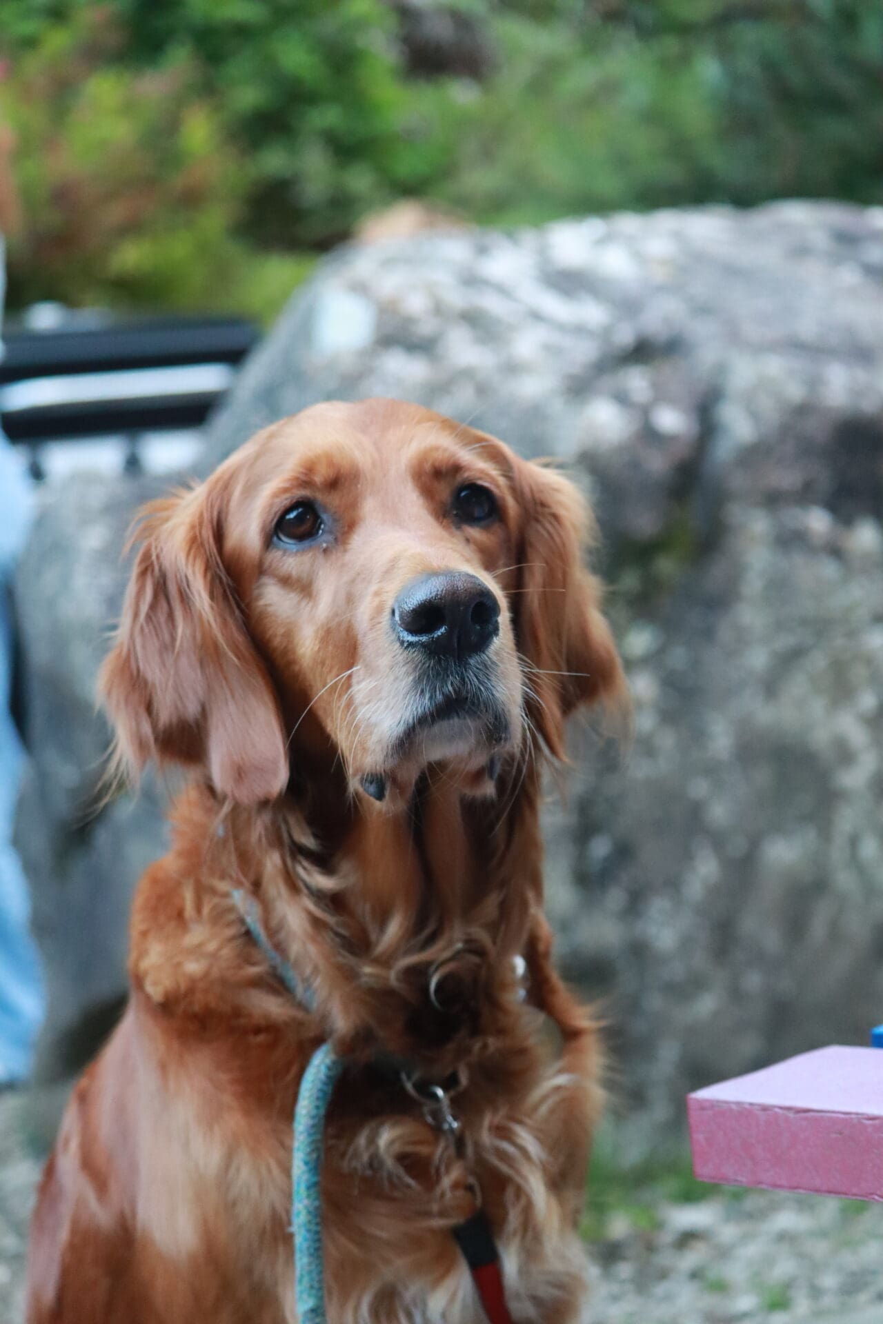 Windermere School Sixth Form Life