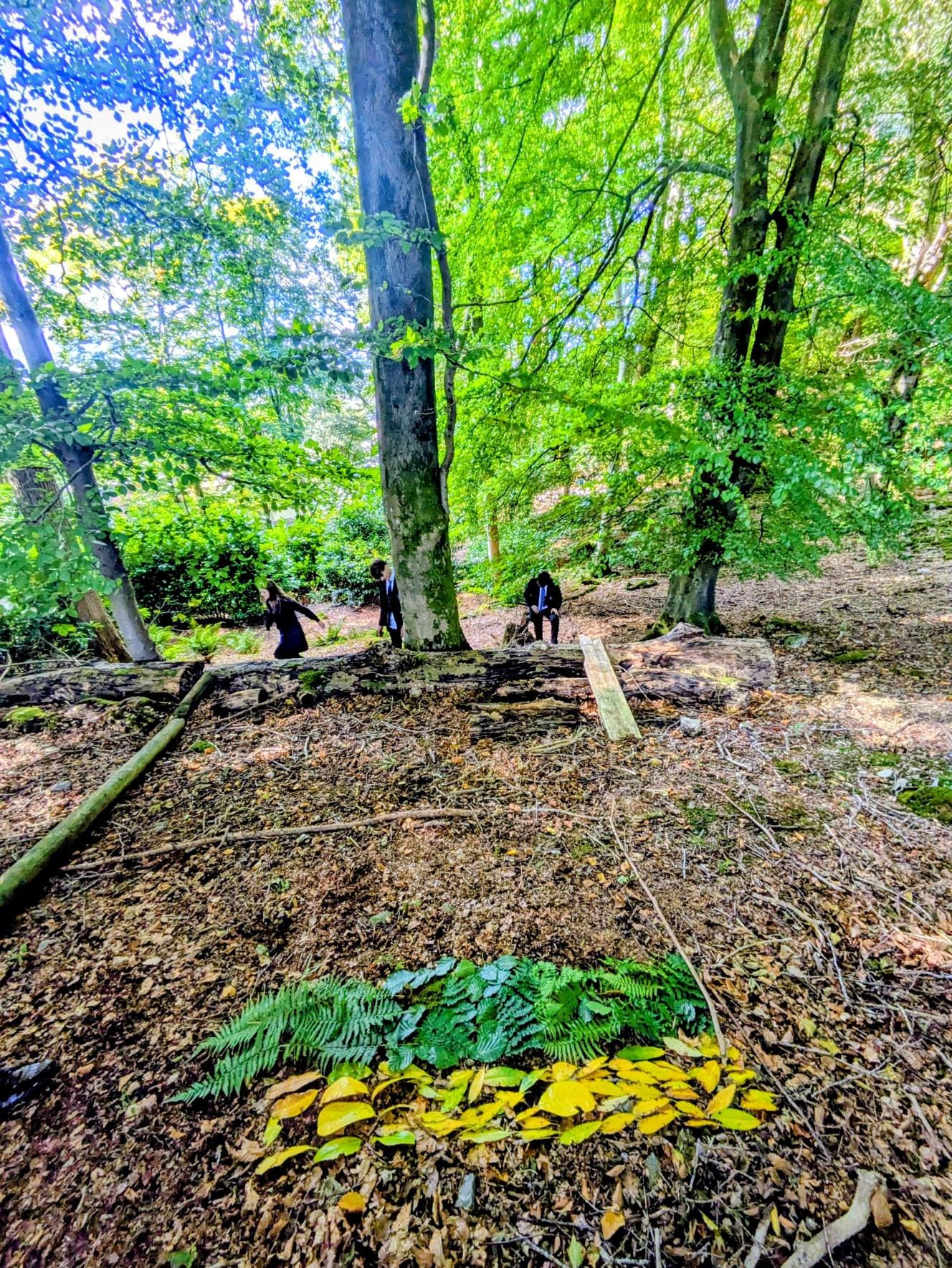 Windermere School Outdoor Learning