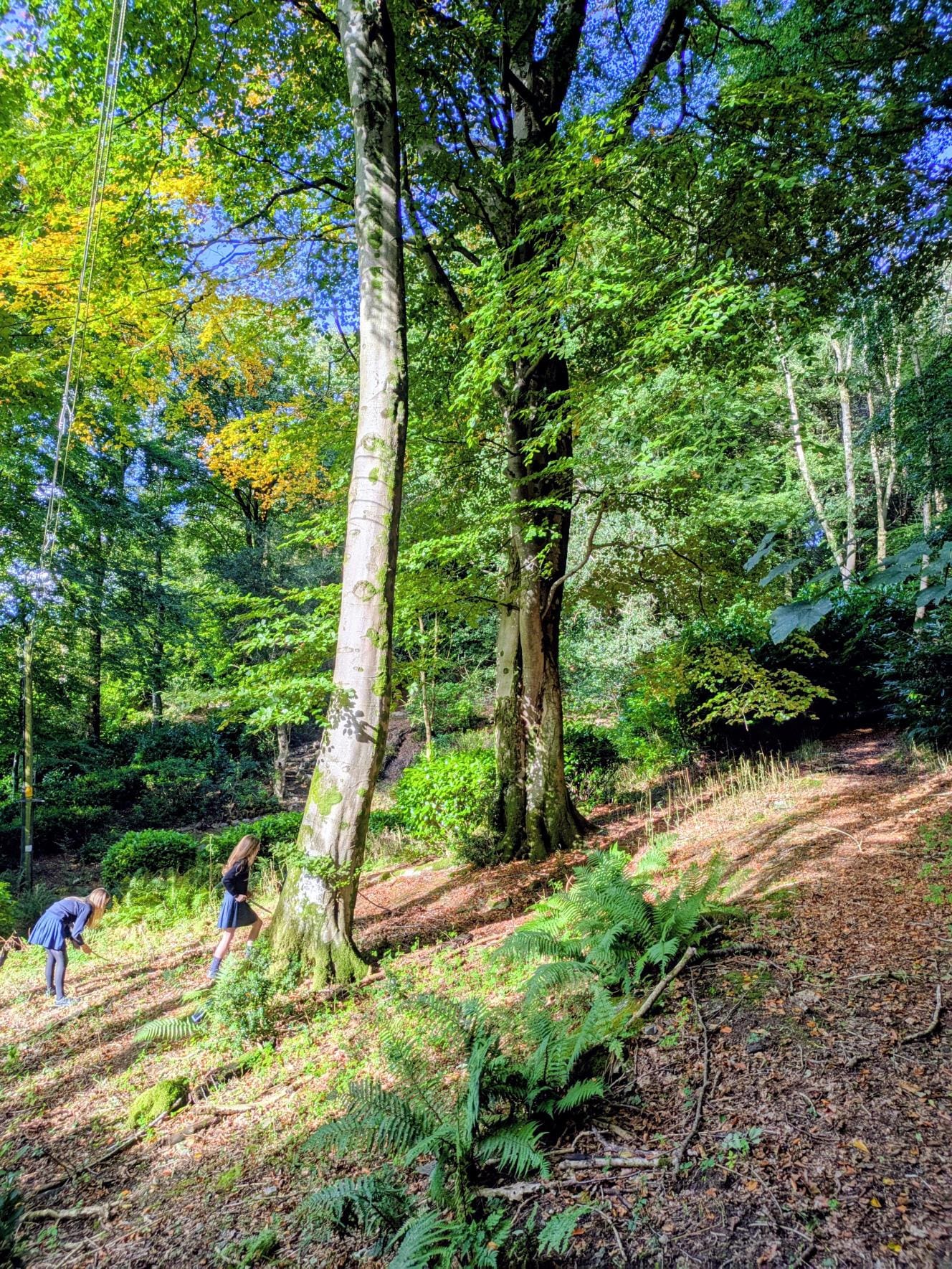 Windermere School Outdoor Learning