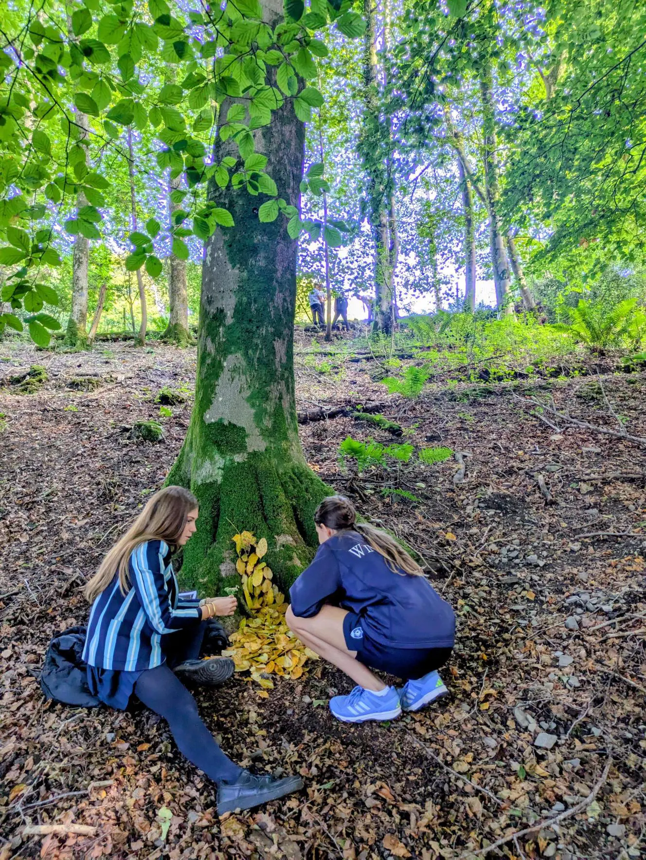 Windermere School Outdoor Learning