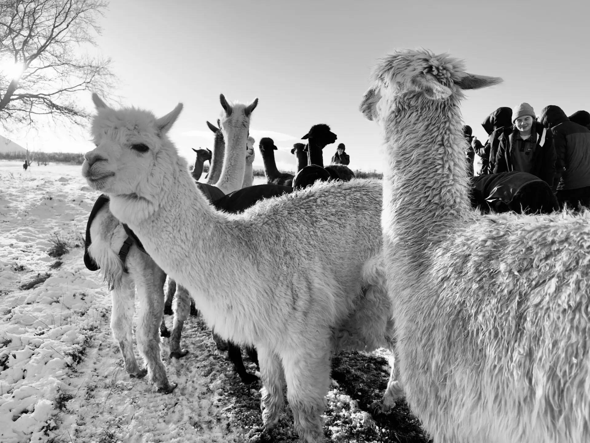 Windermere School Year 12 residential