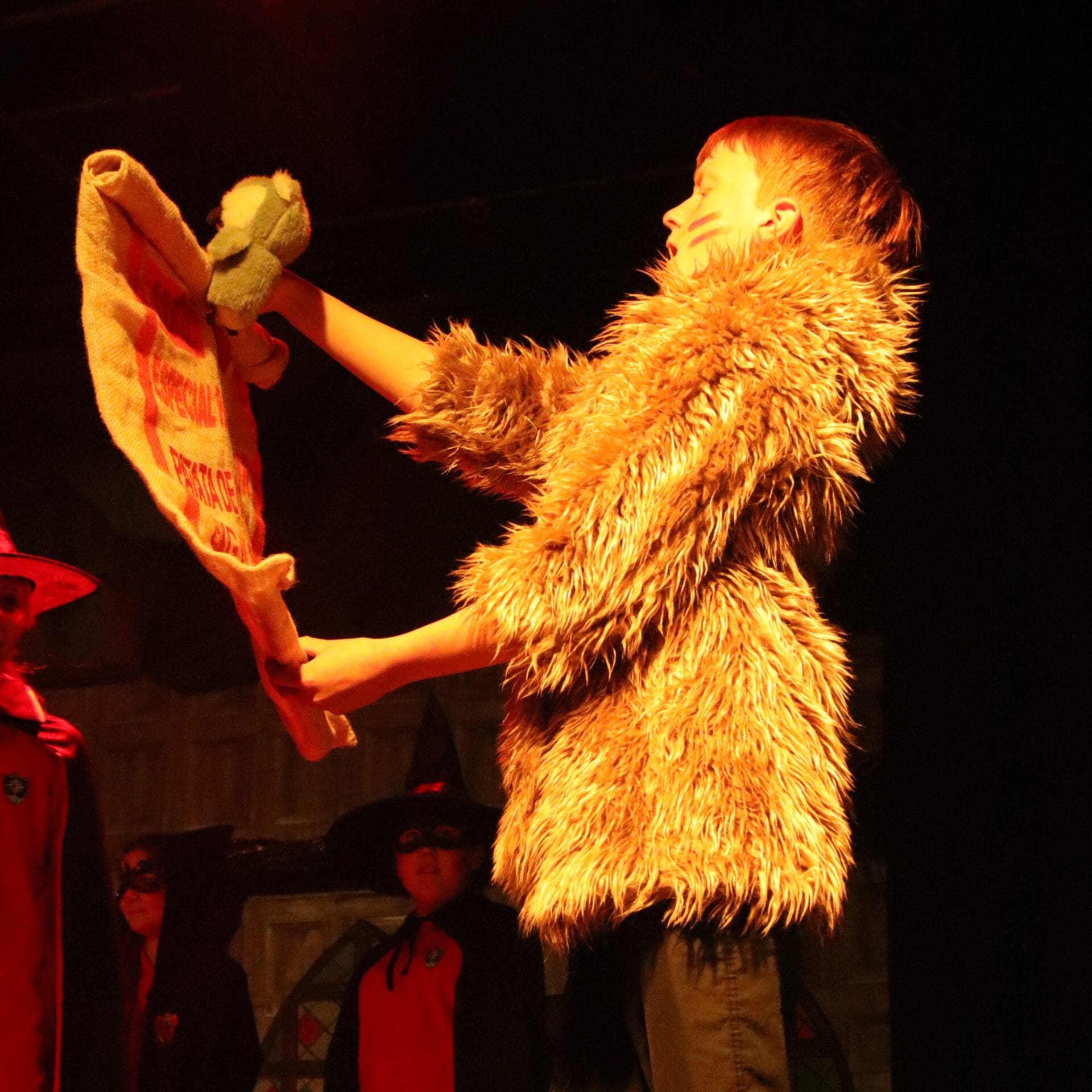 Windermere School Performing Arts